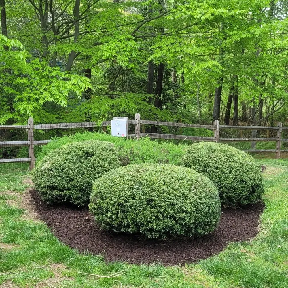 Expert landscaping services for residential properties across Orange, VA - Lawn Gnome Landscaping
