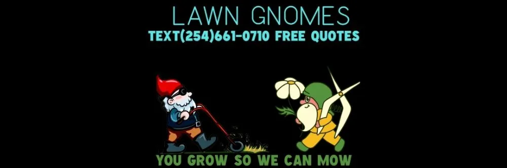 Local lawn mowing service experts serving Killeen, TX - Lawn Gnomes