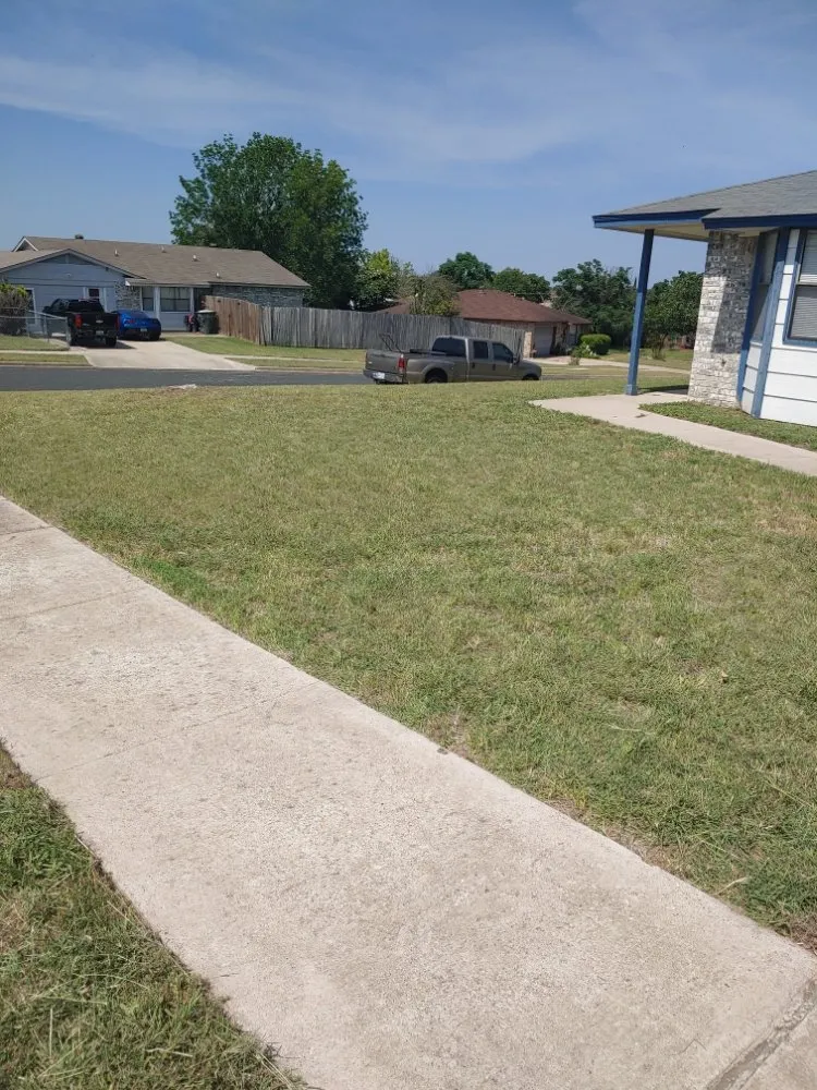 Trusted landscape installation for year-round maintenance across Killeen, TX - Lawn Gnomes