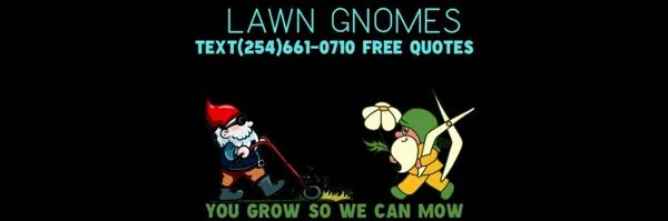 Lawn Gnomes Logo