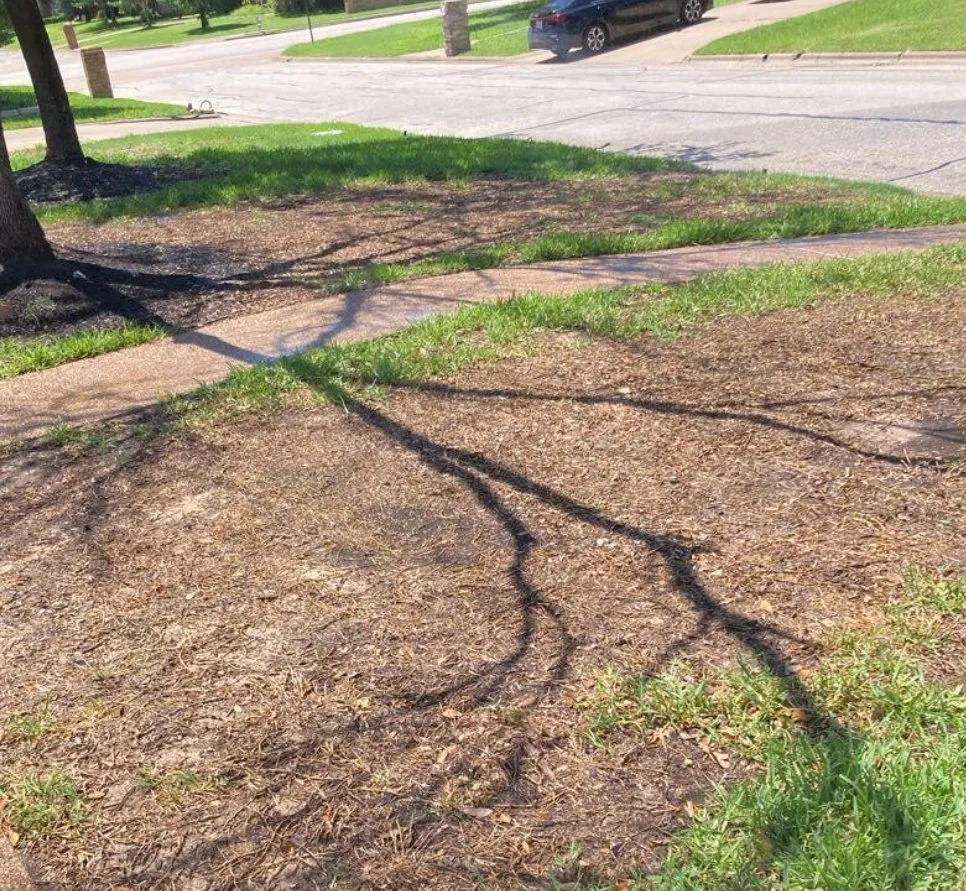 Reliable yard cleanup service in College Station, TX - Lawn Goat