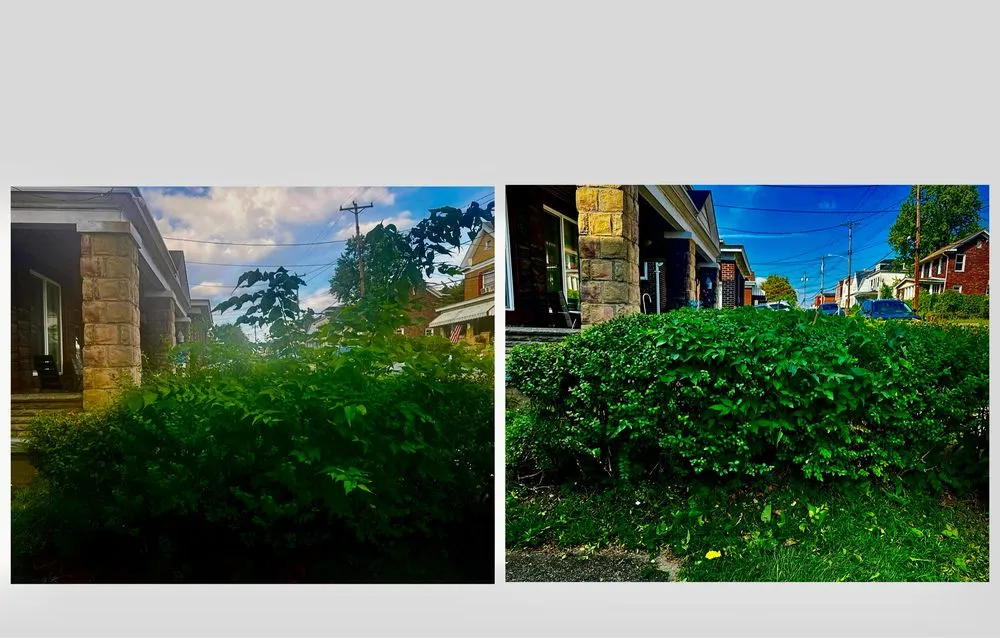 Expert yard maintenance experts serving Pittsburgh, PA - Lawn Goats