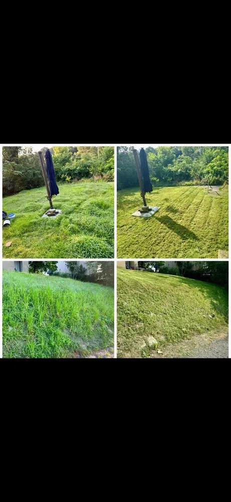 Reliable yard cleanup service for beautiful yards in Pittsburgh, PA by Lawn Goats