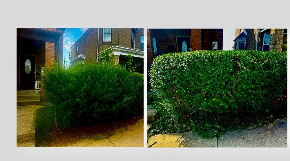 Reliable lawn mowing service in Pittsburgh, PA by Lawn Goats