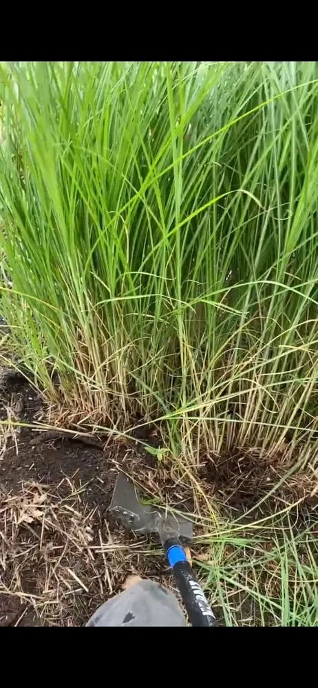 Professional residential landscaping in Lancaster, OH - Lawn Goblins