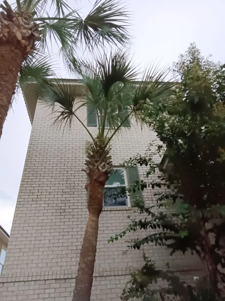 Trusted landscape installation in Fort Walton Beach, FL by Lawn Gods