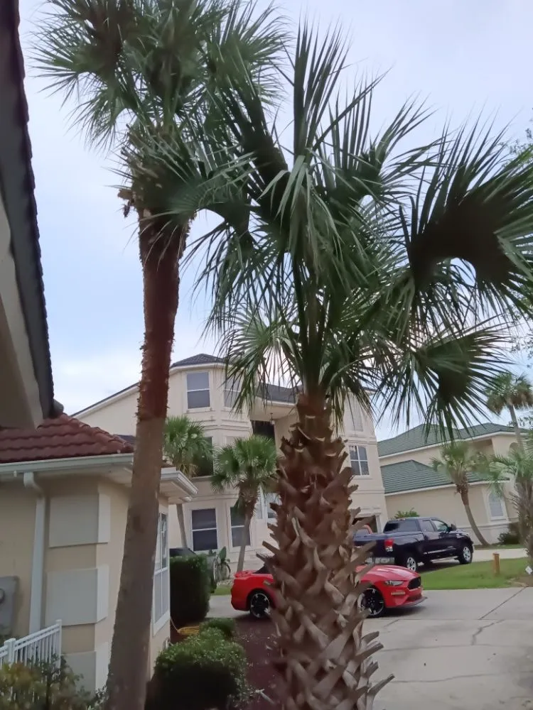 Local residential landscaping for outdoor upgrades across Fort Walton Beach, FL - Lawn Gods
