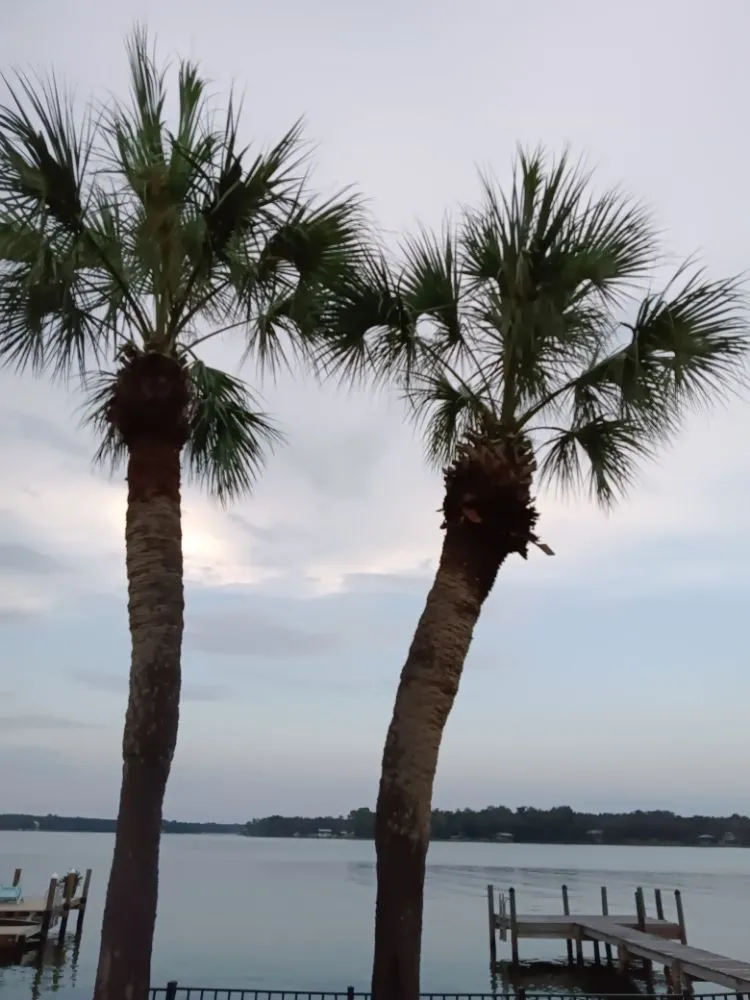 Local residential landscaping experts serving Fort Walton Beach, FL - Lawn Gods