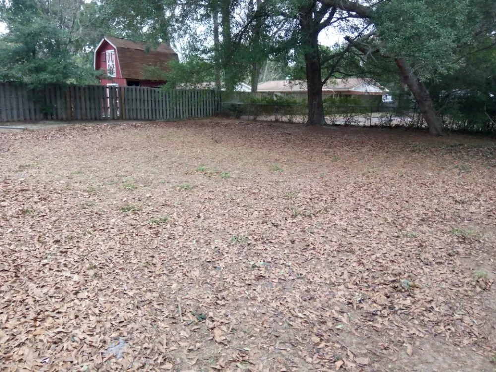 Trusted outdoor landscaping experts serving Fort Walton Beach, FL - Lawn Gods