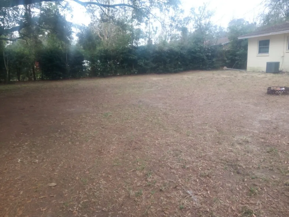 Expert yard maintenance for beautiful yards in Fort Walton Beach, FL by Lawn Gods