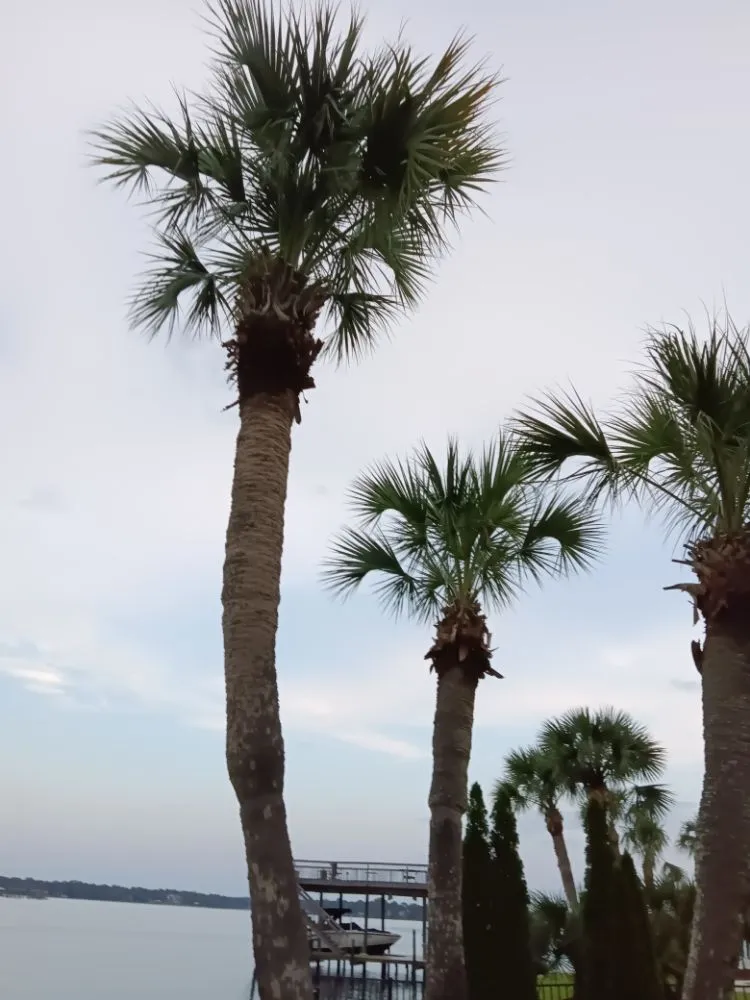 Trusted outdoor landscaping in Fort Walton Beach, FL by Lawn Gods