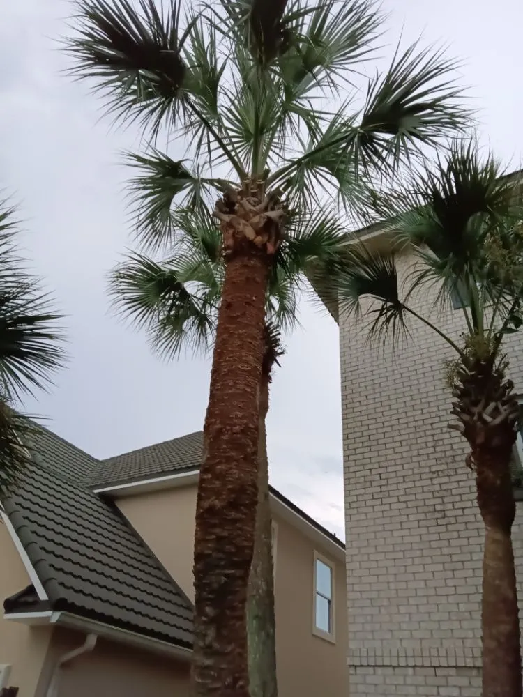 Professional yard maintenance near you across Fort Walton Beach, FL - Lawn Gods