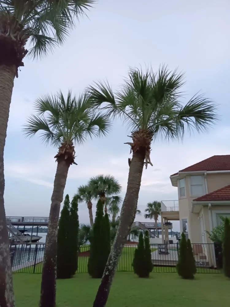 Local landscape installation in Fort Walton Beach, FL - Lawn Gods