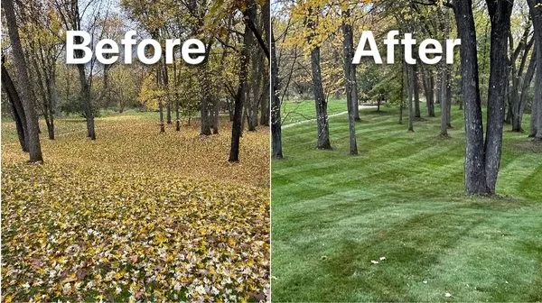 Lawn Gone