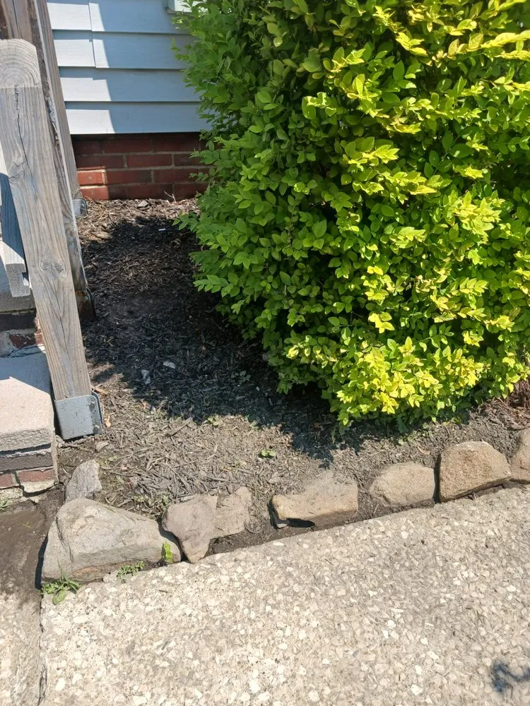 Local yard cleanup service in Cleveland, OH by Lawn Grass Cutting Services