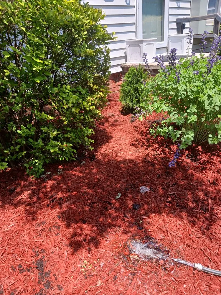 Professional landscape installation in Cleveland, OH - Lawn Grass Cutting Services