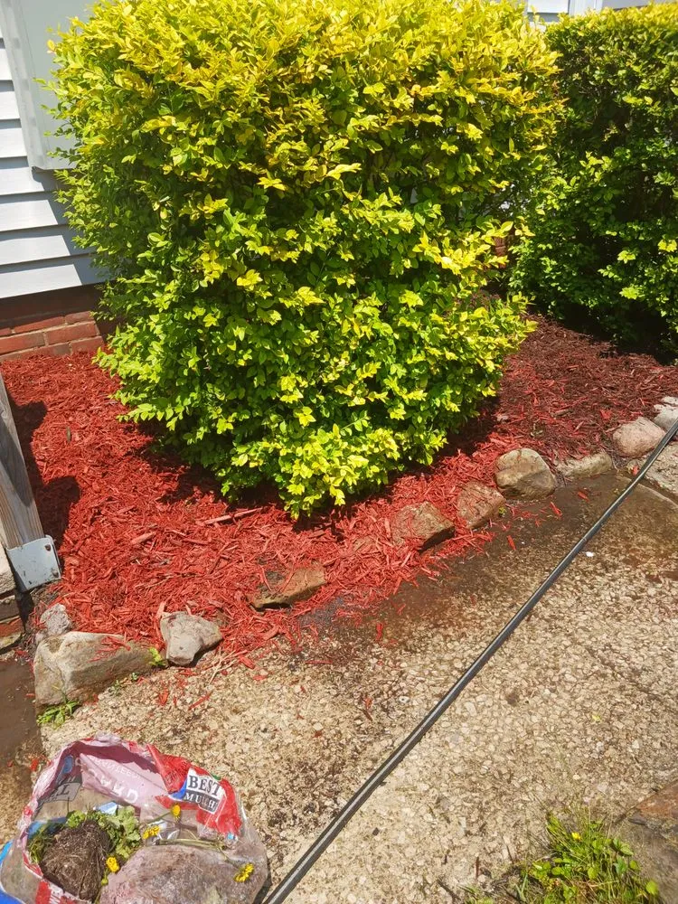 Local landscape installation in Cleveland, OH by Lawn Grass Cutting Services