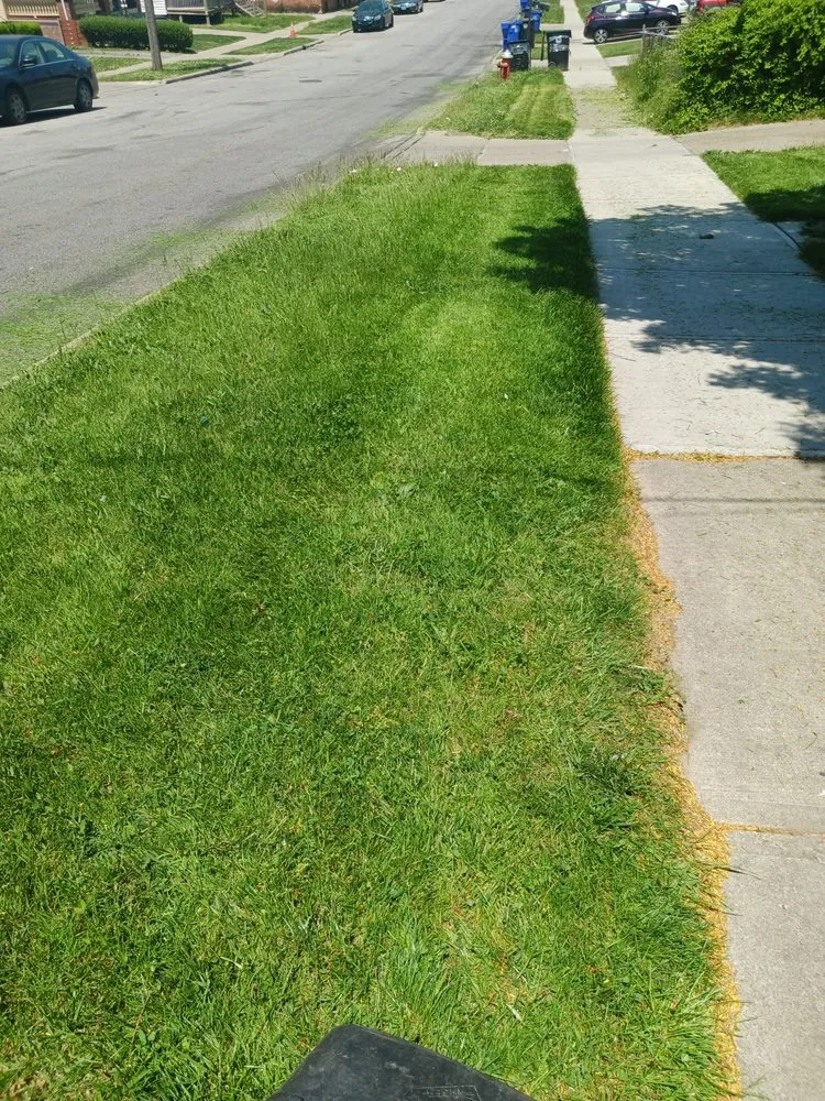 Professional lawn care service in Cleveland, OH - Lawn Grass Cutting Services