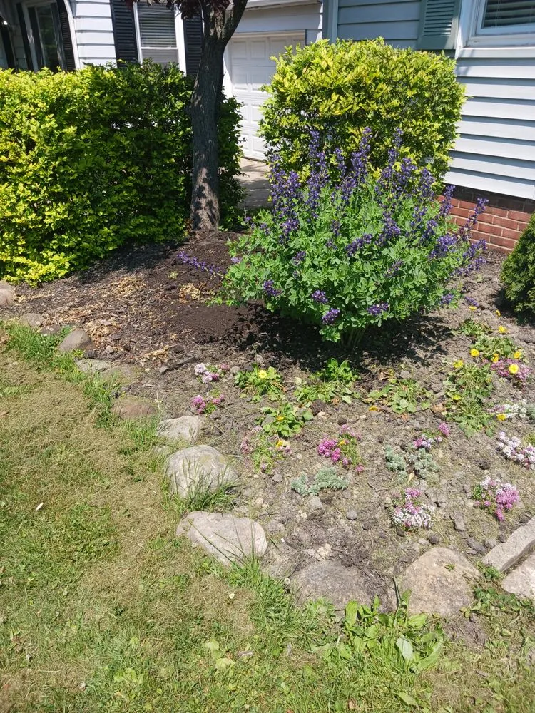 Affordable landscaping services for residential properties in Cleveland, OH by Lawn Grass Cutting Services