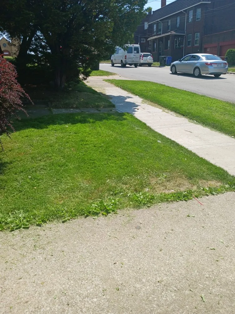 Trusted landscaping services for year-round maintenance across Cleveland, OH - Lawn Grass Cutting Services