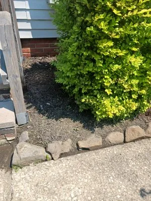 Lawn Grass Cutting Services Logo