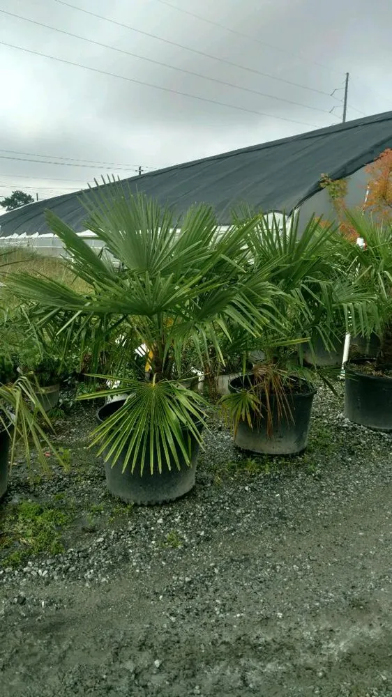 Professional landscape design for residential properties across Snellvilleville, GA - Lawn Greeners