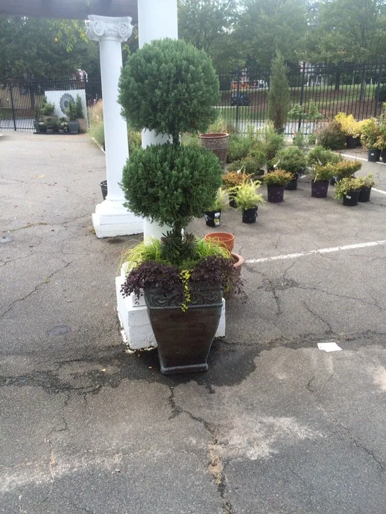 Local garden landscaping in Snellvilleville, GA - Lawn Greeners