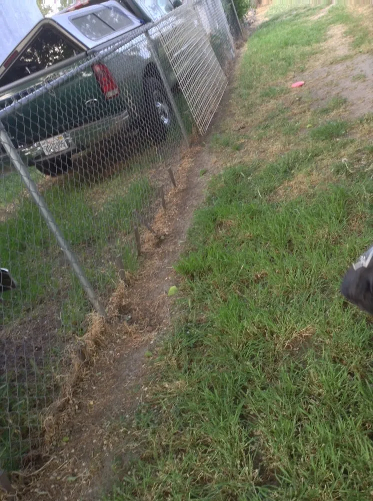 Custom landscape installation in Stockton, CA - Lawn Groomers Landscaping & Gardening