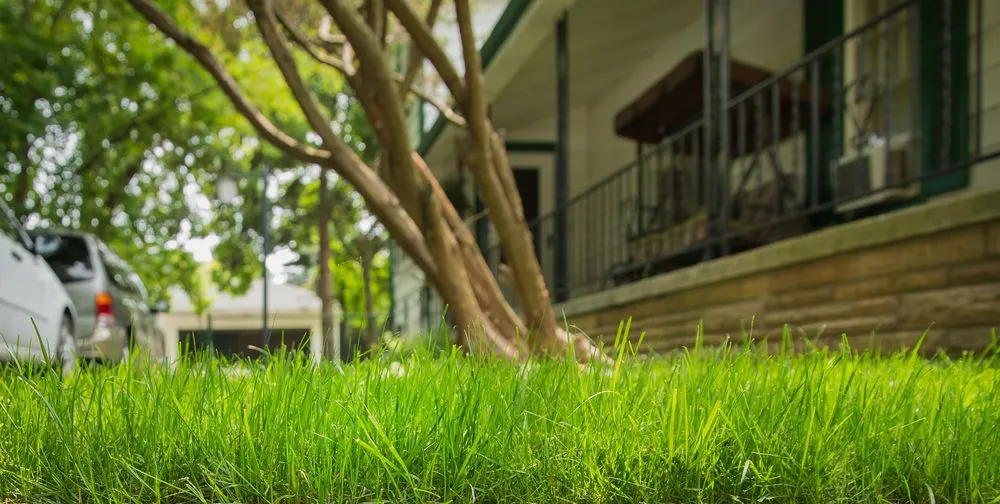 Expert lawn care service in Crawfordsville, IN by Lawn Guard