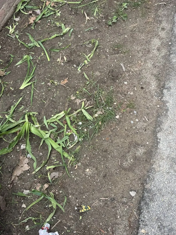 Affordable landscape installation experts serving Auburn, ME - Lawn Guard Lawn Care