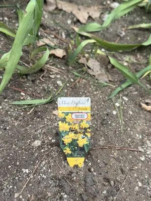 Lawn Guard Lawn Care