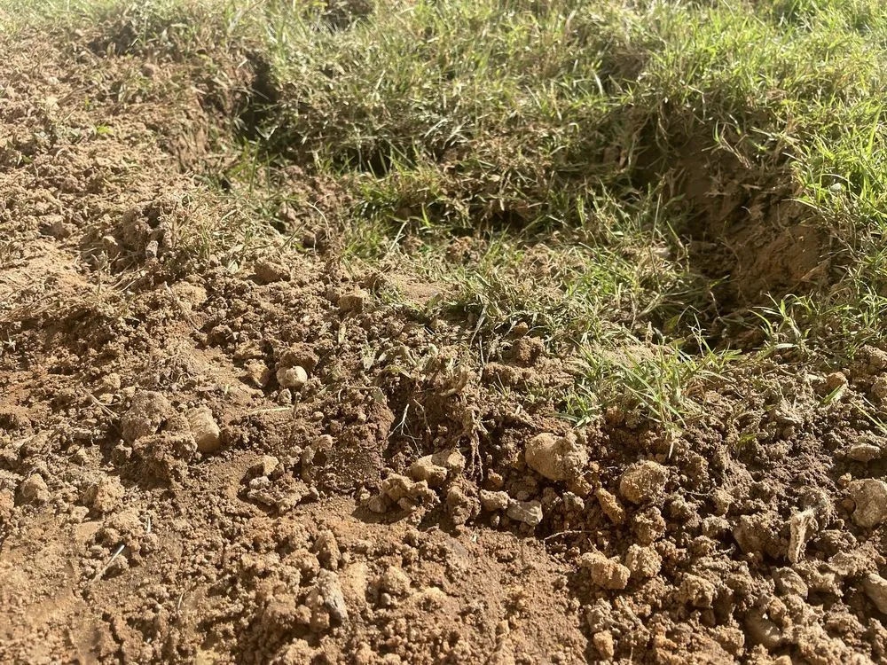 Local landscape design in Tulsa, OK by Lawn Guard