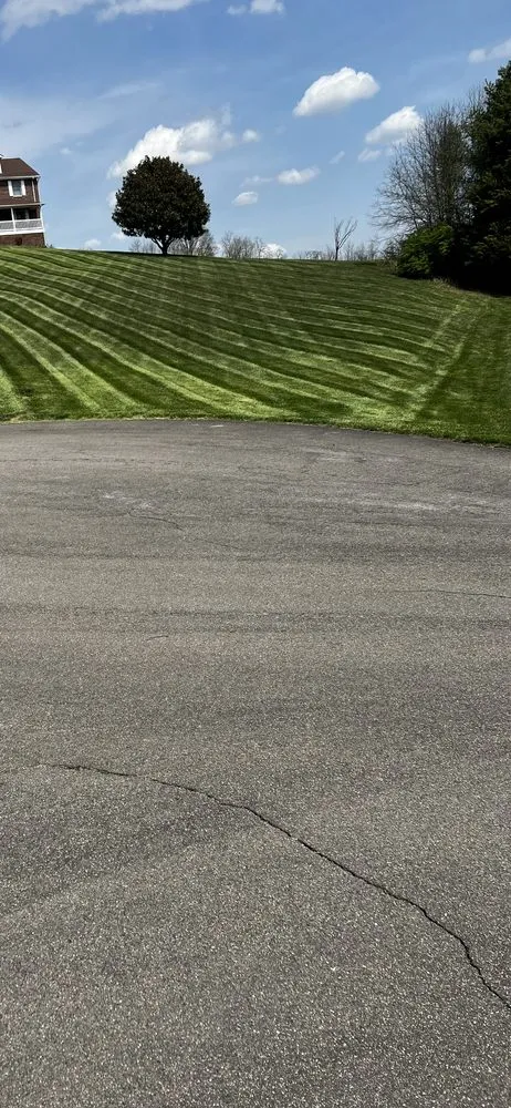 Local yard cleanup service in Glade Spring, VA - Lawn Guardians