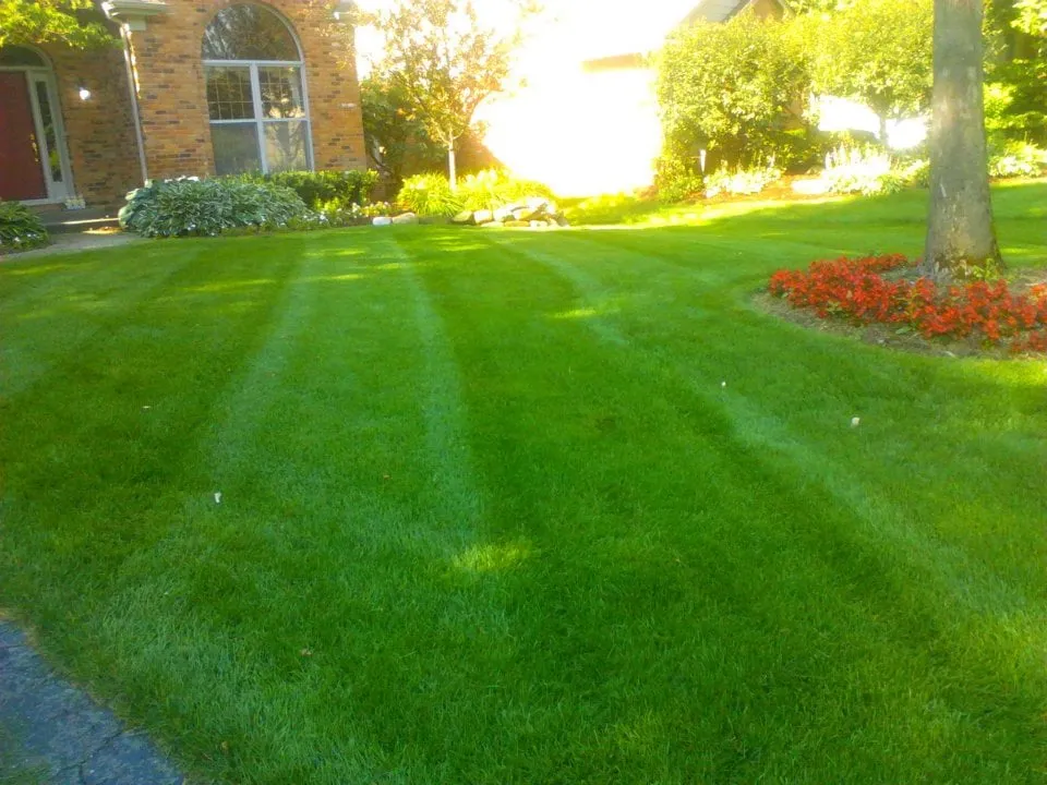 Professional landscape installation for outdoor upgrades across Berkley, MI - Lawn Guardians Landscaping