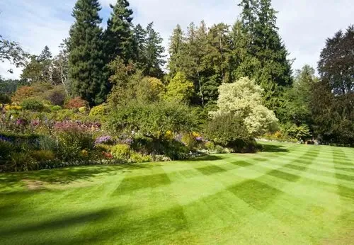 Local residential landscaping for outdoor upgrades across Verona, PA - Lawn Guy