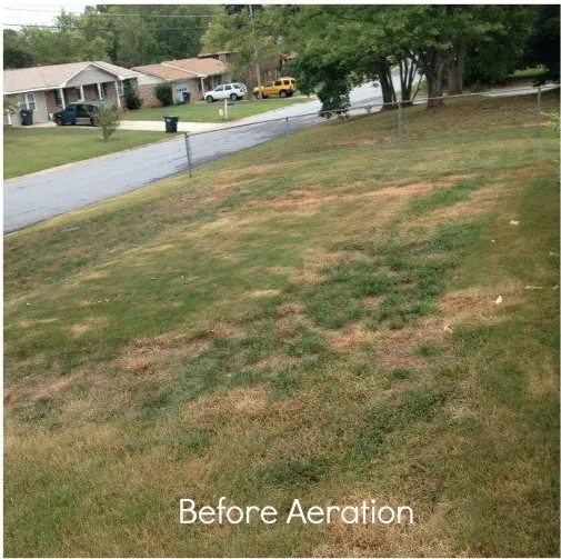 Affordable yard maintenance experts serving Verona, PA - Lawn Guy