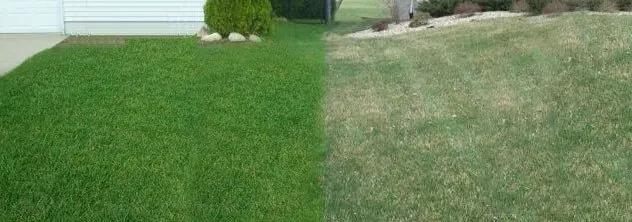 Affordable lawn care service in Verona, PA by Lawn Guy