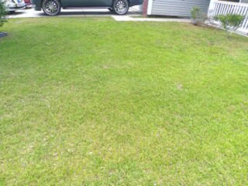 Affordable outdoor landscaping for residential properties across Goose Creek, SC - Lawn Guys