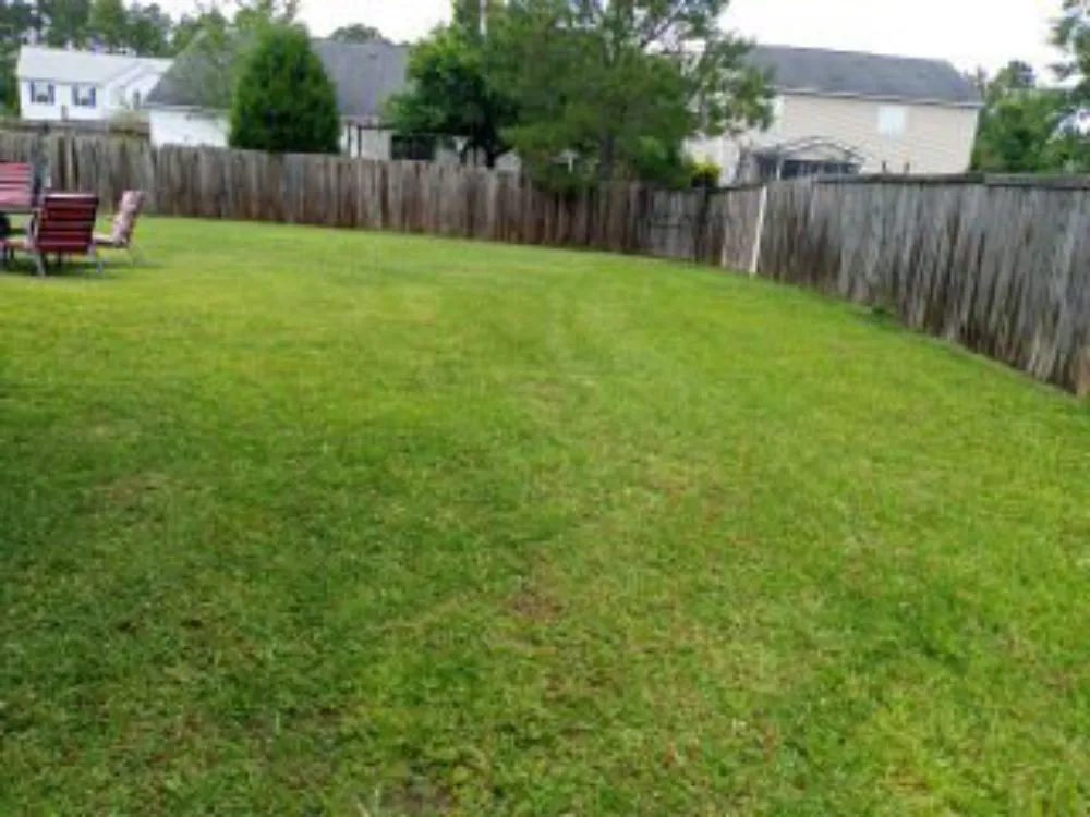 Reliable yard cleanup service in Goose Creek, SC by Lawn Guys