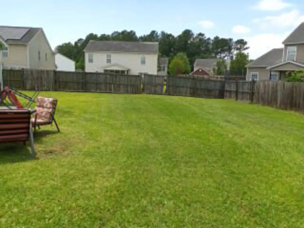 Custom lawn care service in Goose Creek, SC by Lawn Guys