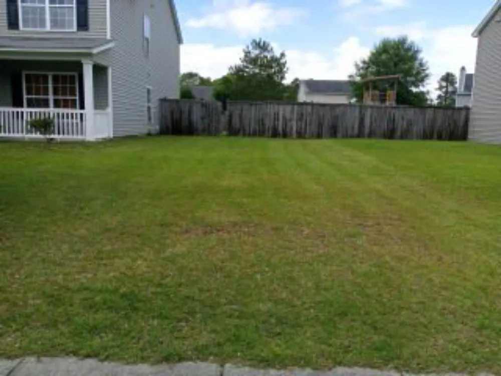 Professional landscape design for residential properties across Goose Creek, SC - Lawn Guys