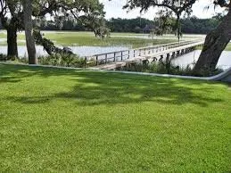 Affordable residential landscaping in Goose Creek, SC - Lawn Guys
