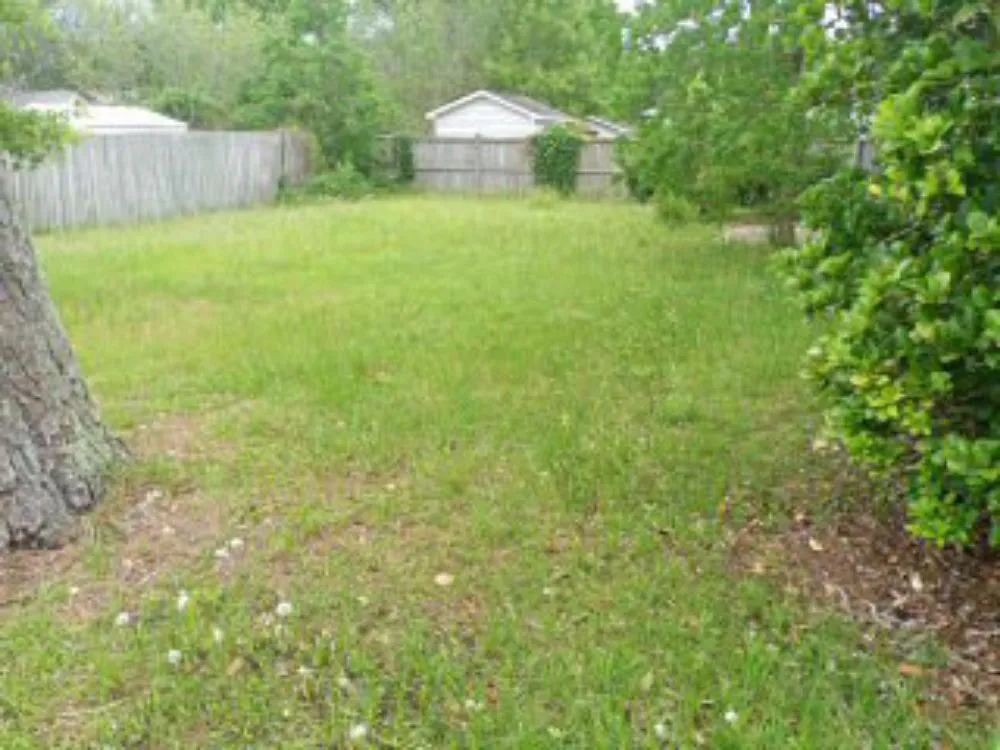 Local yard cleanup service experts serving Goose Creek, SC - Lawn Guys