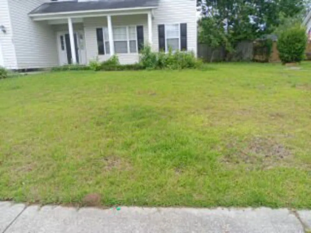 Trusted yard maintenance for year-round maintenance in Goose Creek, SC by Lawn Guys