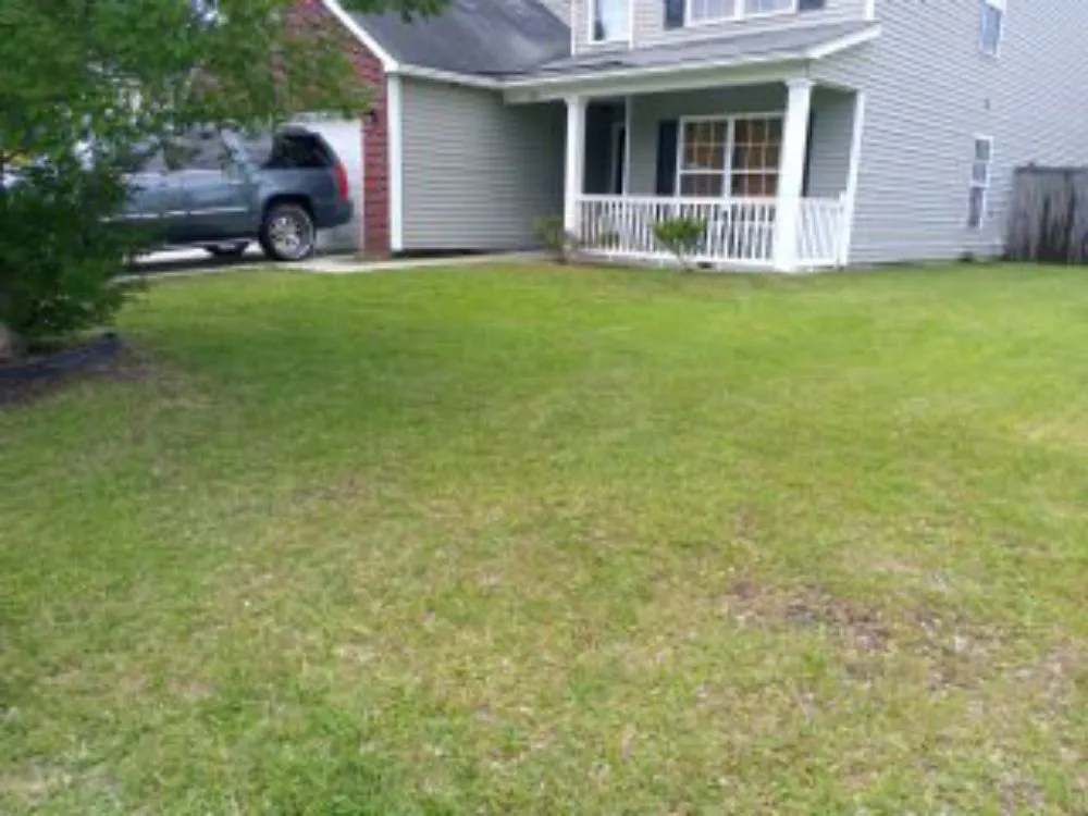Local lawn care service in Goose Creek, SC by Lawn Guys