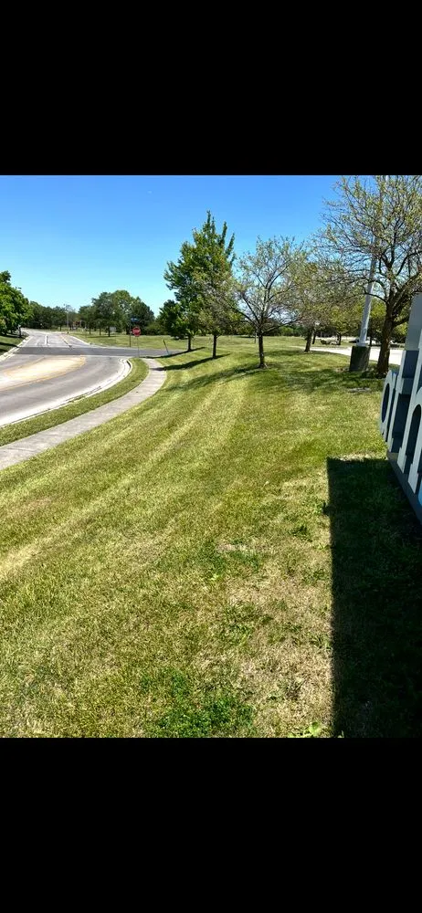 Professional yard cleanup service in Circleville, OH - Lawn Harmony Landscaping