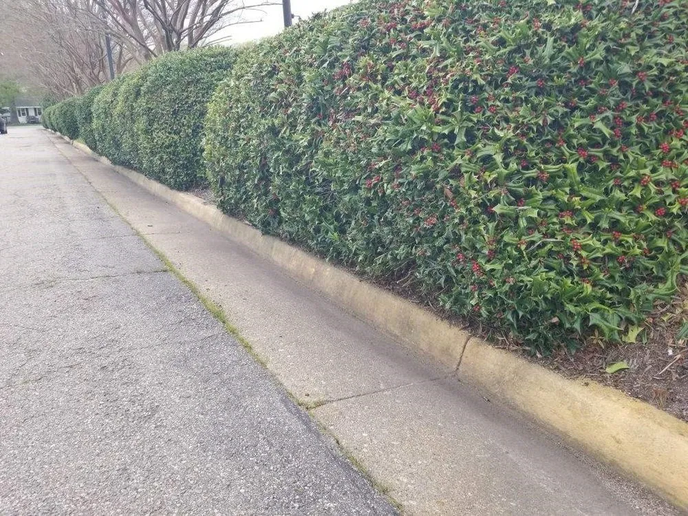 Professional landscaping services experts serving Suffolk, VA - Lawn Hedge & Advantages Landscaping