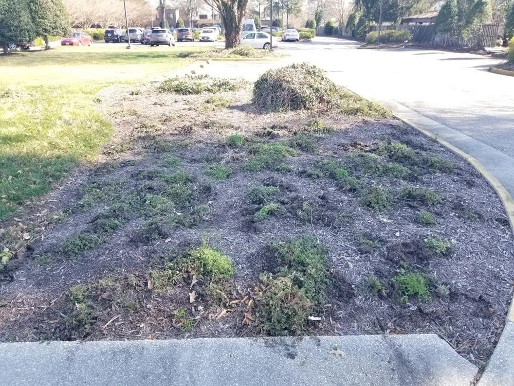 Expert lawn care service experts serving Suffolk, VA - Lawn Hedge & Advantages Landscaping