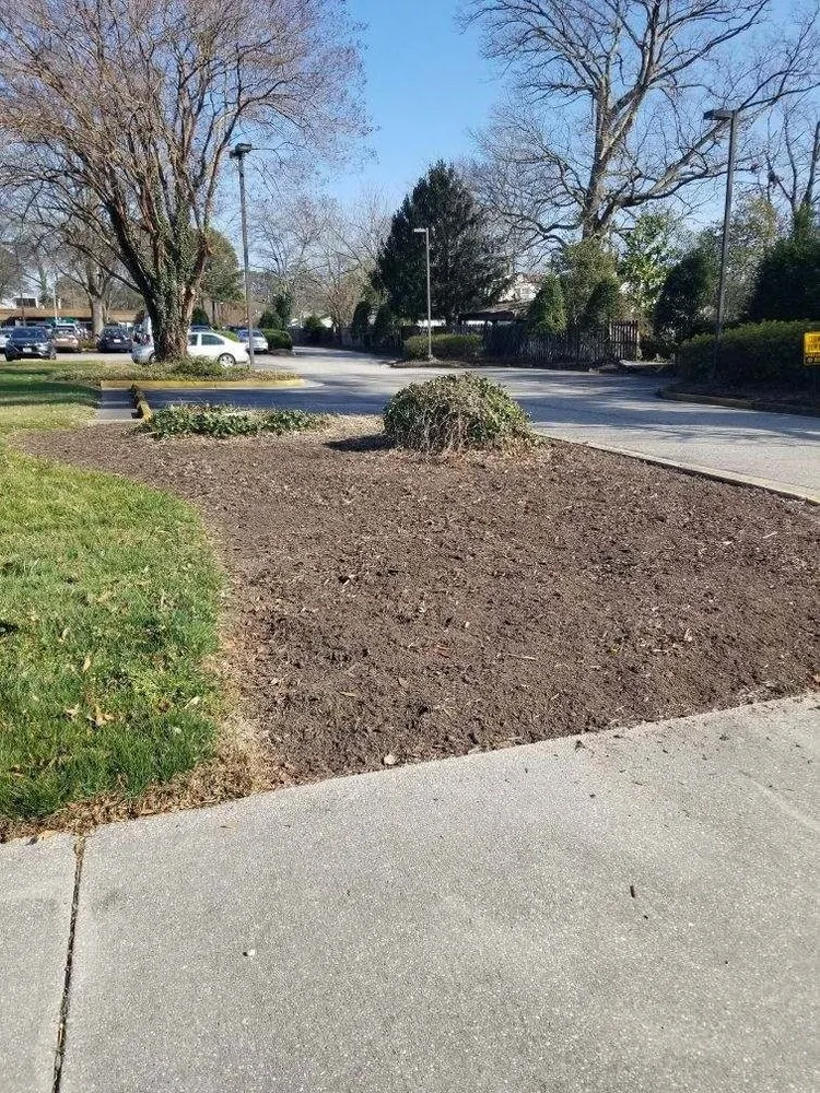 Local yard maintenance in Suffolk, VA by Lawn Hedge & Advantages Landscaping