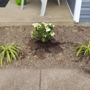 Professional residential landscaping with custom design across Suffolk, VA - Lawn Hedge & Advantages Landscaping